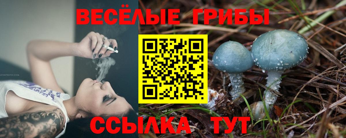 Тара  Галлюциногенные грибы Magic Shrooms  Галлюциногенные грибы мухоморы  Вход с VPN 